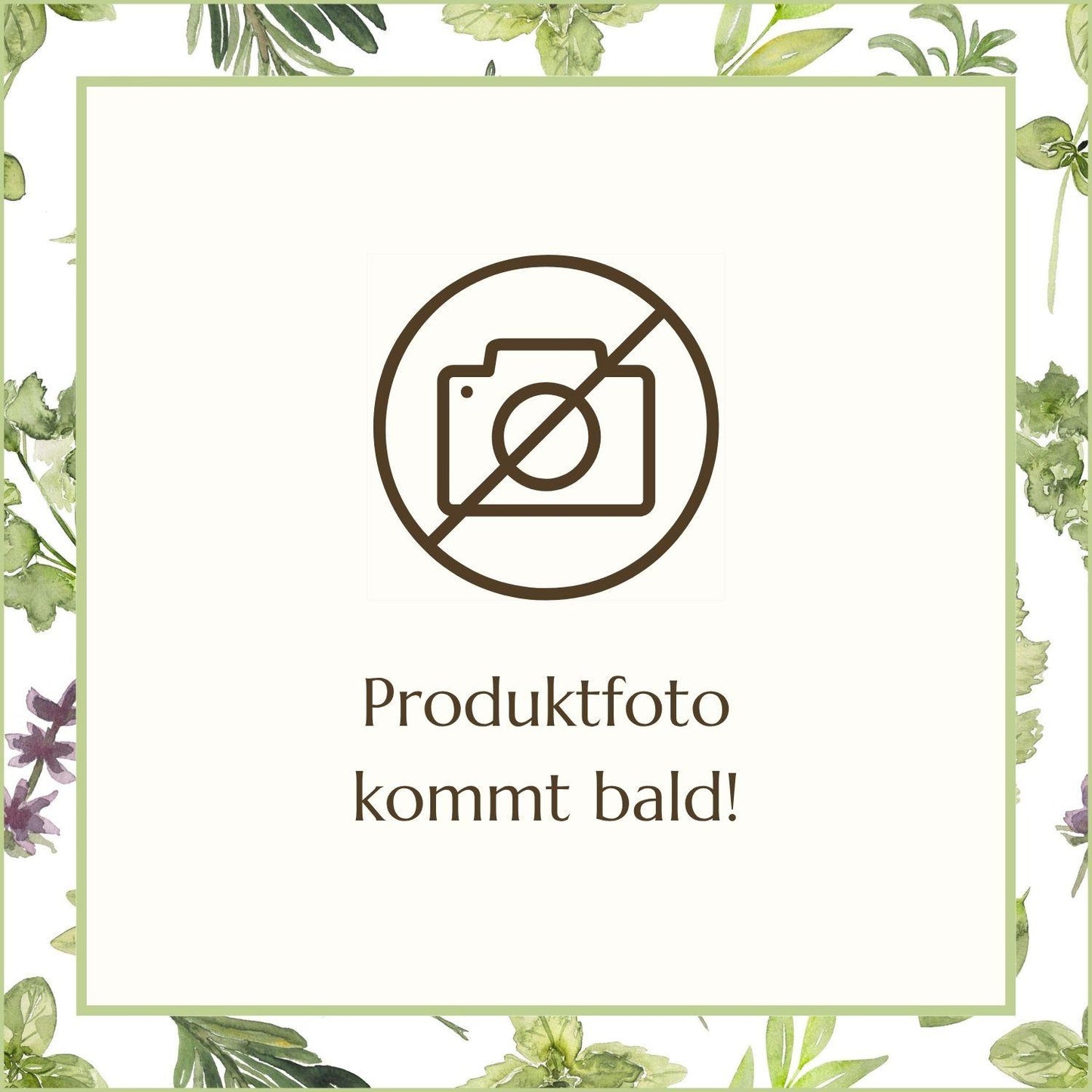 Ätherisches Öl Einjähriger Beifuß (Artemisia Annua) | Naturstoff