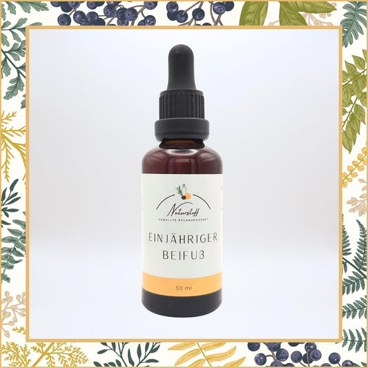 Einjähriger Beifuß