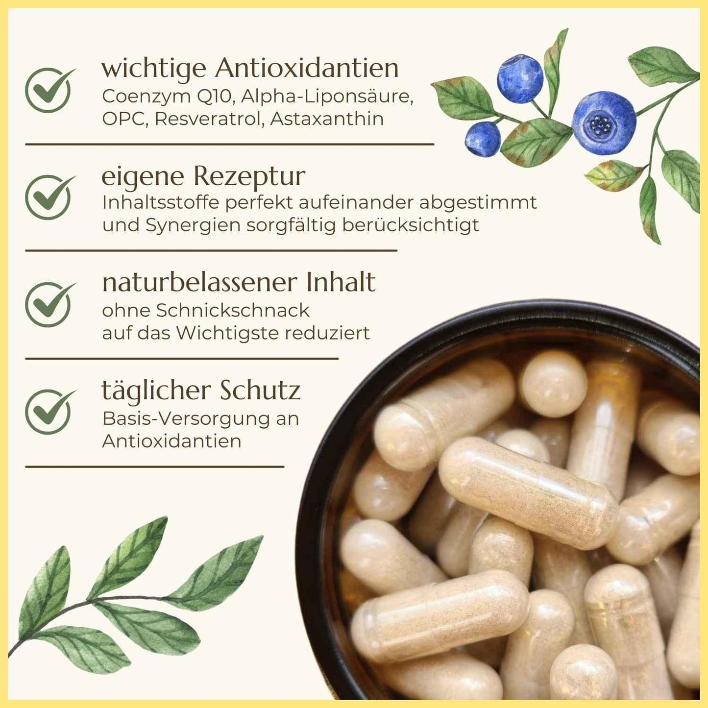 Antiox Kapseln mit Coenzym Q10 und Liponsäure  Überblick | Naturstoff
