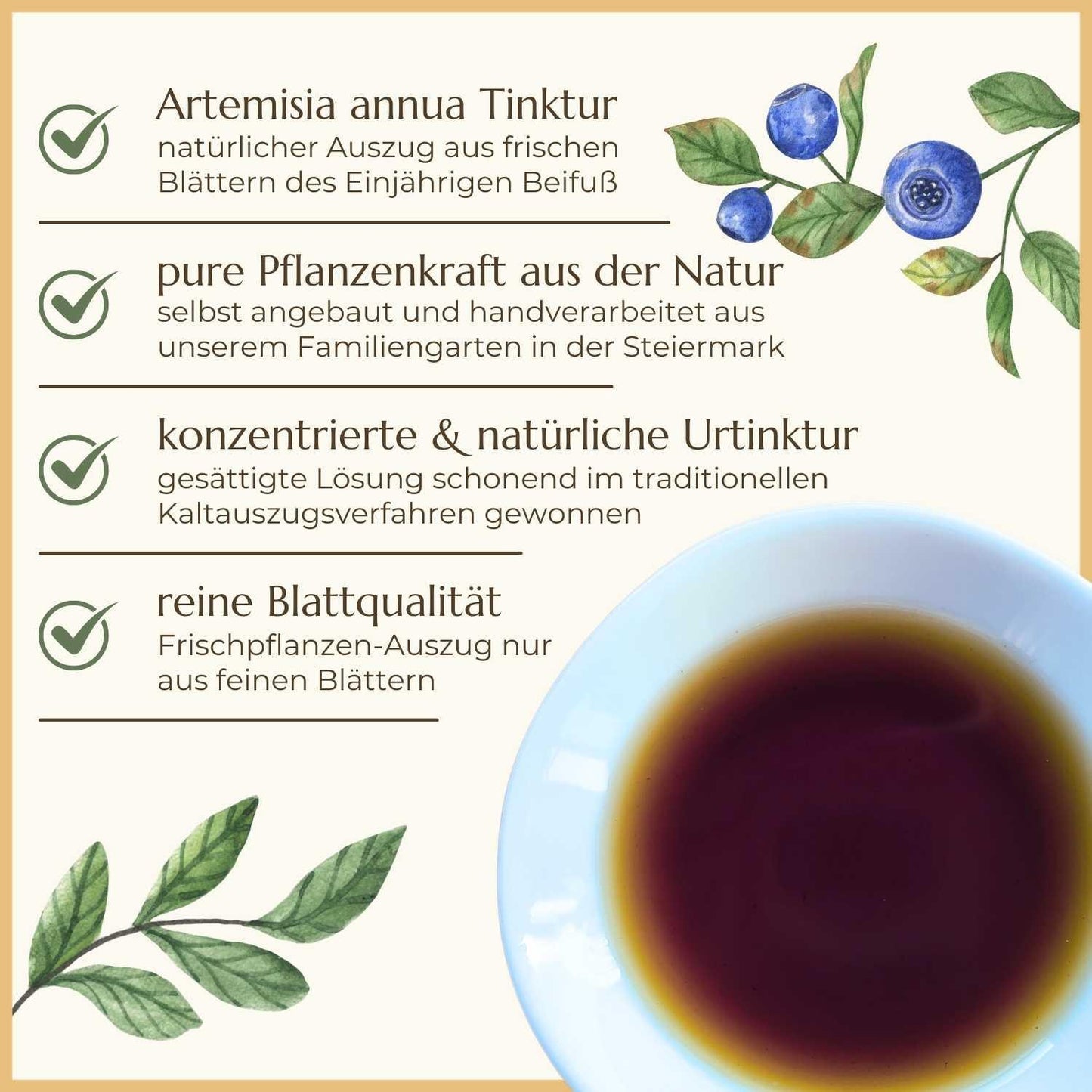 Eigenschaften vom Einjährigen Beifuß | Naturstoff