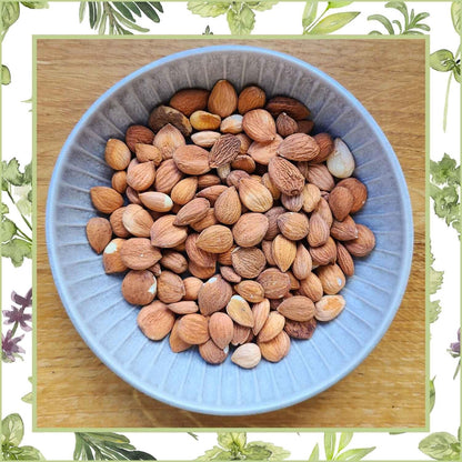 Bittere_Aprikosenkerne_Naturstoff