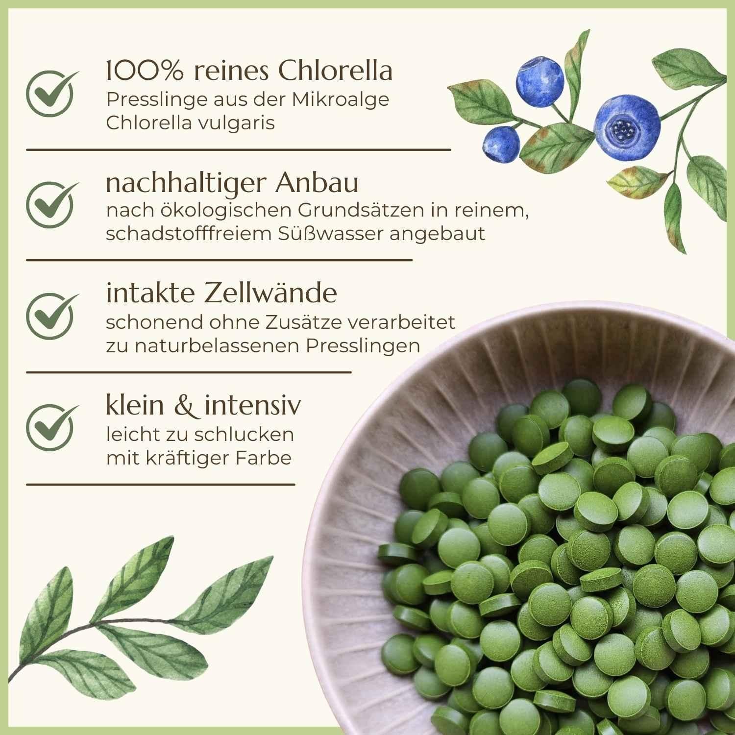 Chlorella vulgaris Eigenschaften Naturstoff