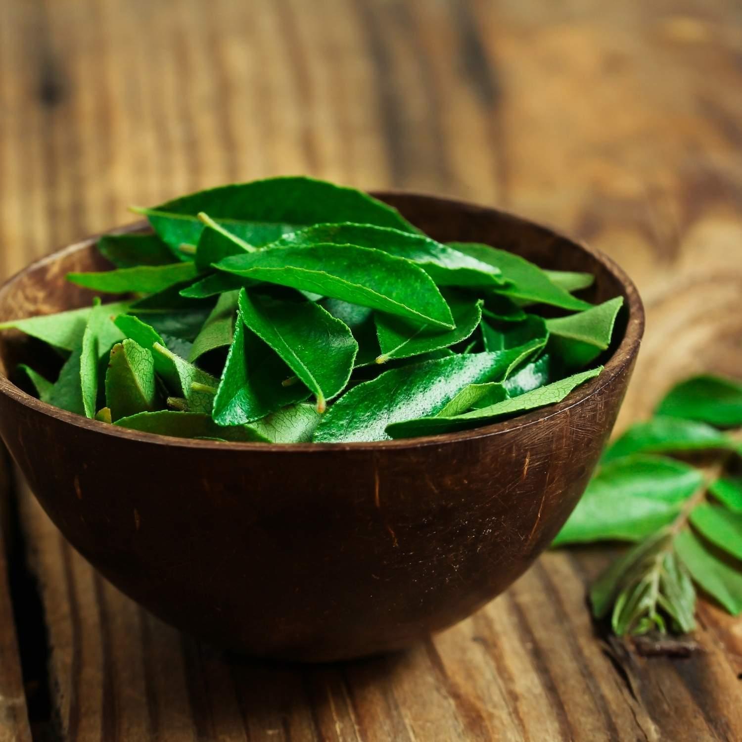 Curryblätter für natürliches Eisen | Naturstoff