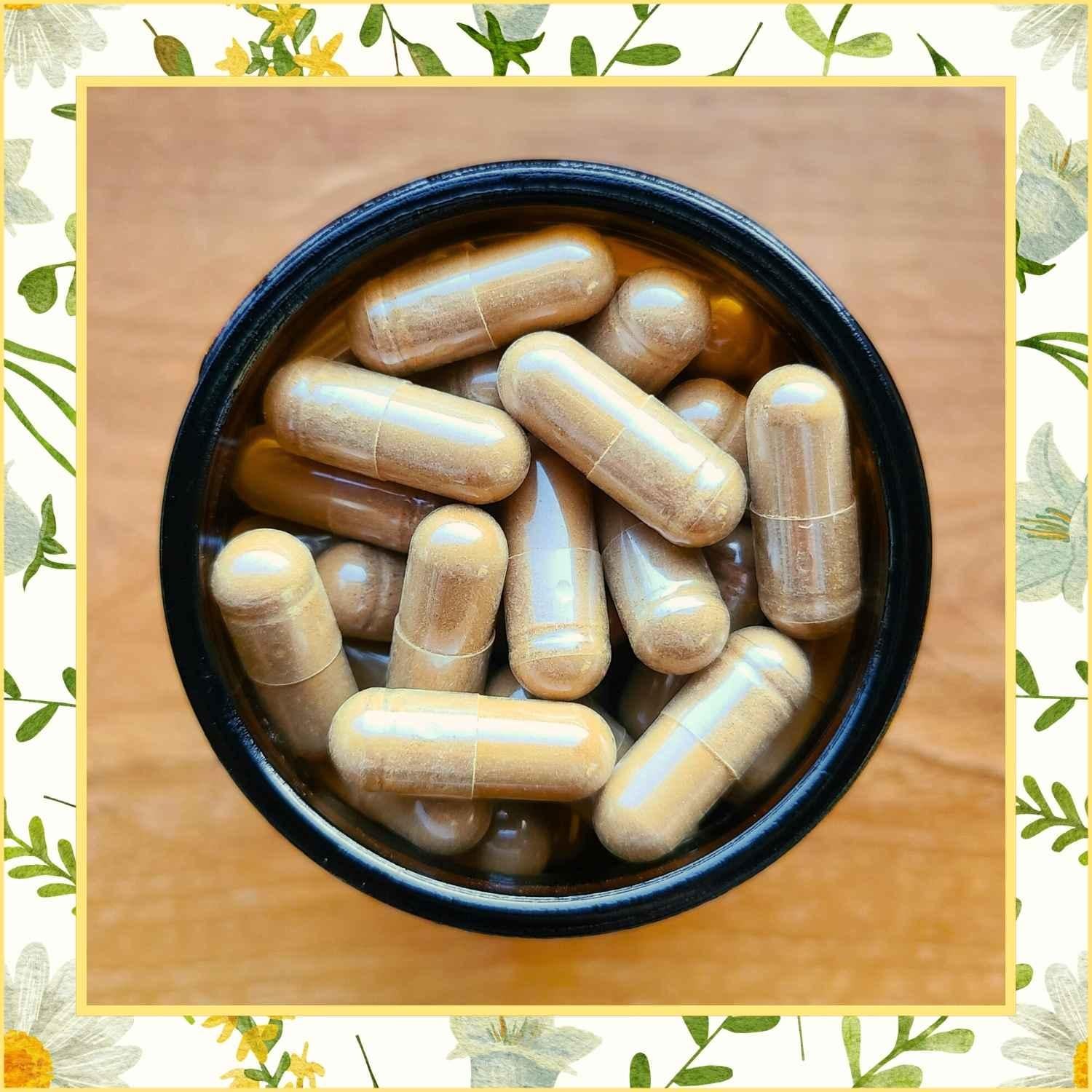 Darmrein Kapseln in Glastiegel auf Holztisch | Naturstoff