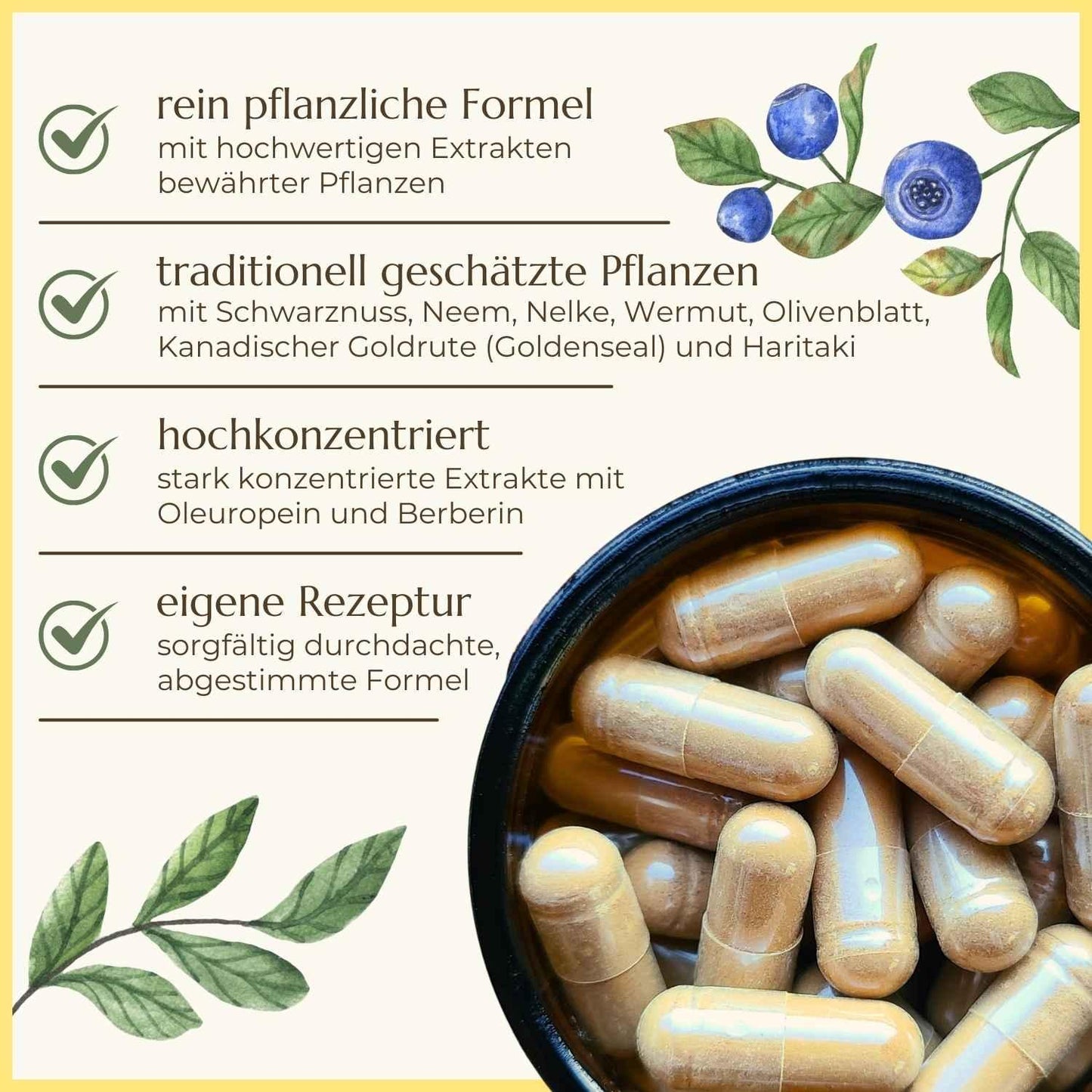 Eigenschaften der Darmrein Kapseln aufgelistet | Naturstoff