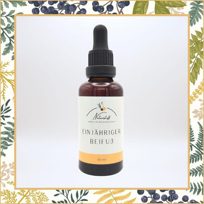 Einjähriger Beifuß (Artemisia Annua) Auszug Tinktur | Naturstoff