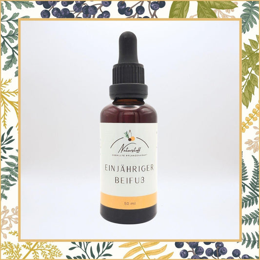 Einjähriger Beifuß (Artemisia Annua) Auszug Tinktur | Naturstoff