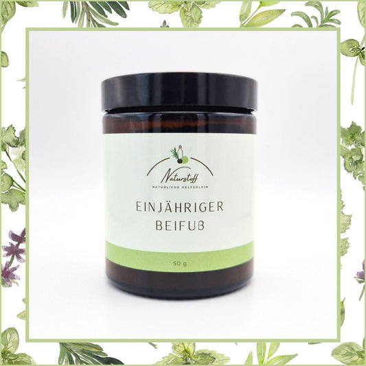 Einjähriger Beifuß Pulver (Artemisia Annua) aus eigenem Anbau | Naturstoff