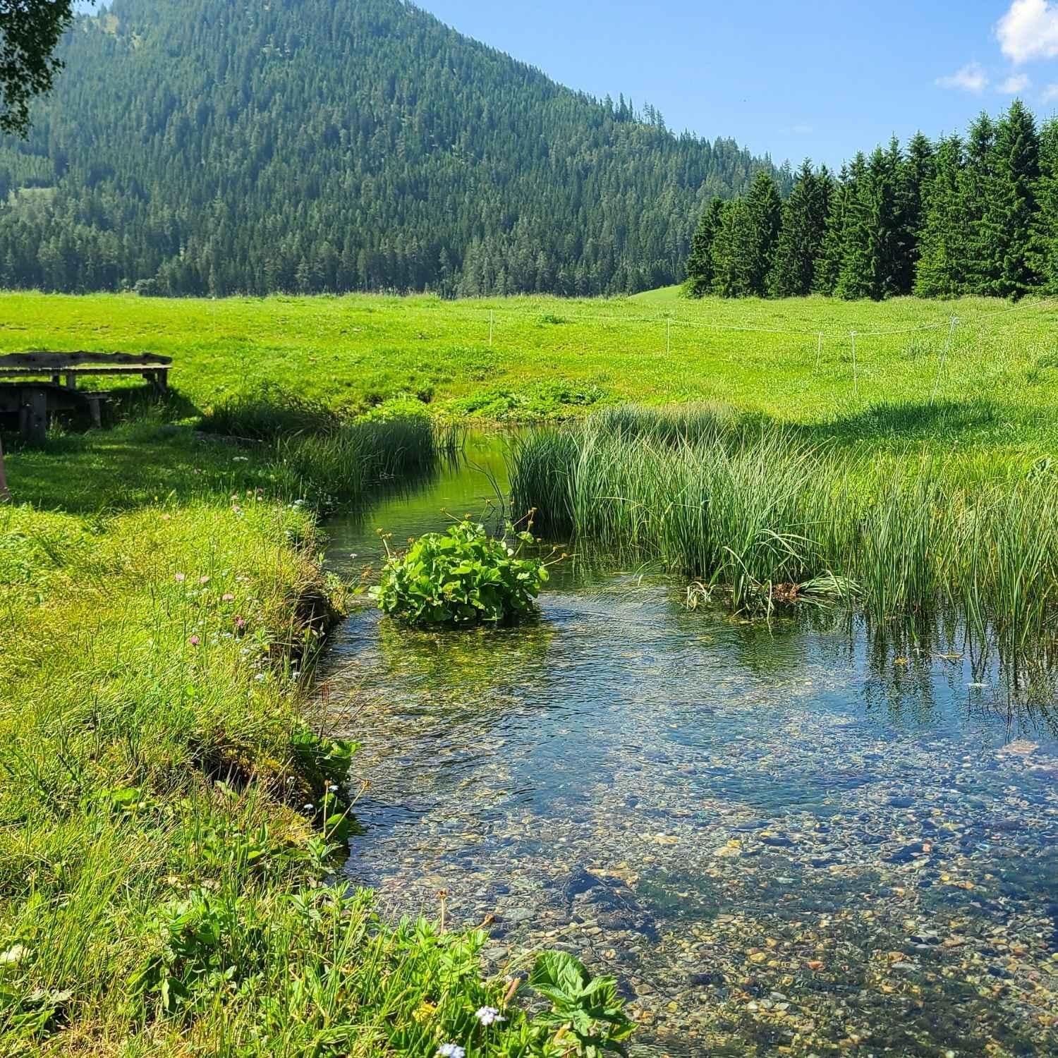 Frisches Bergquellwasser in der Steiermark | Naturstoff