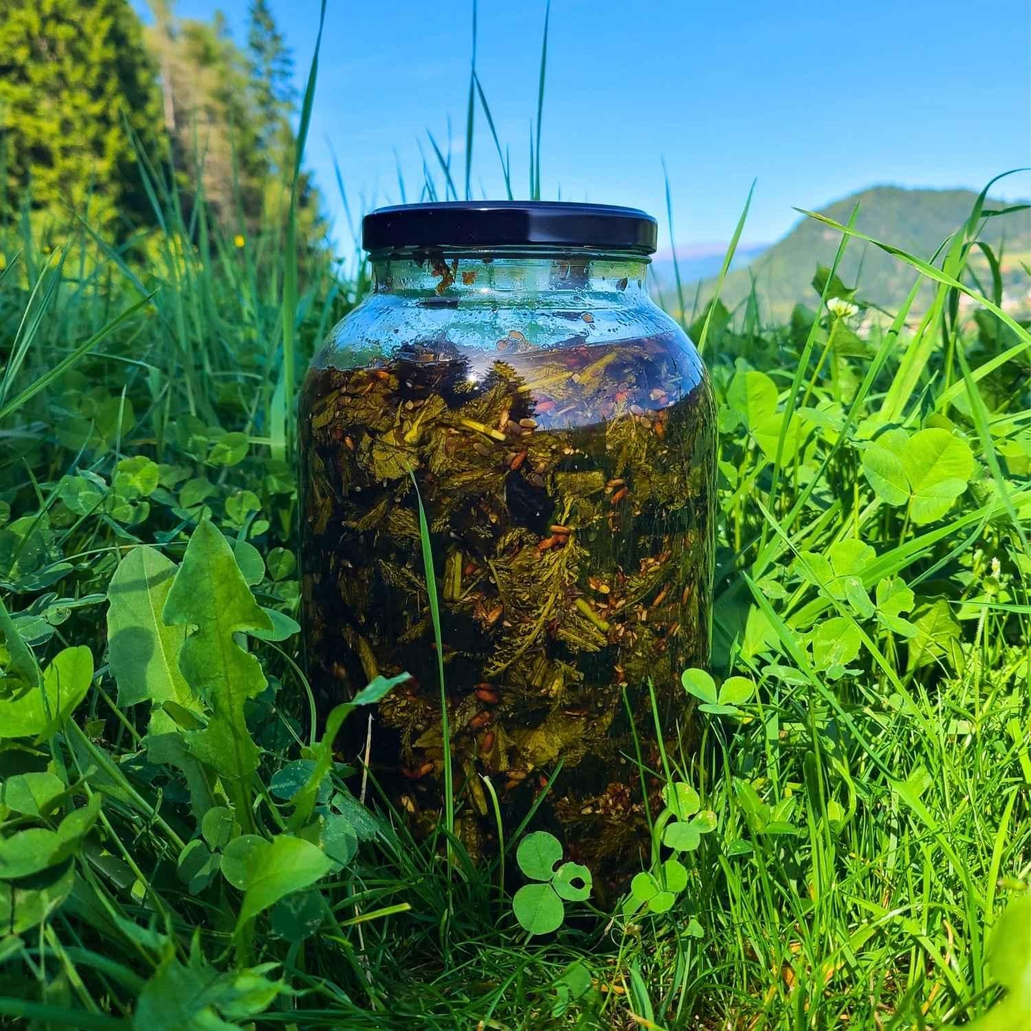 Geballte Pflanzenkraft Kräuterauszug Kolben mit Tinktur | Naturstoff