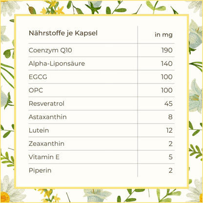 Inhaltsstoffe Antiox Kapseln | Naturstoff