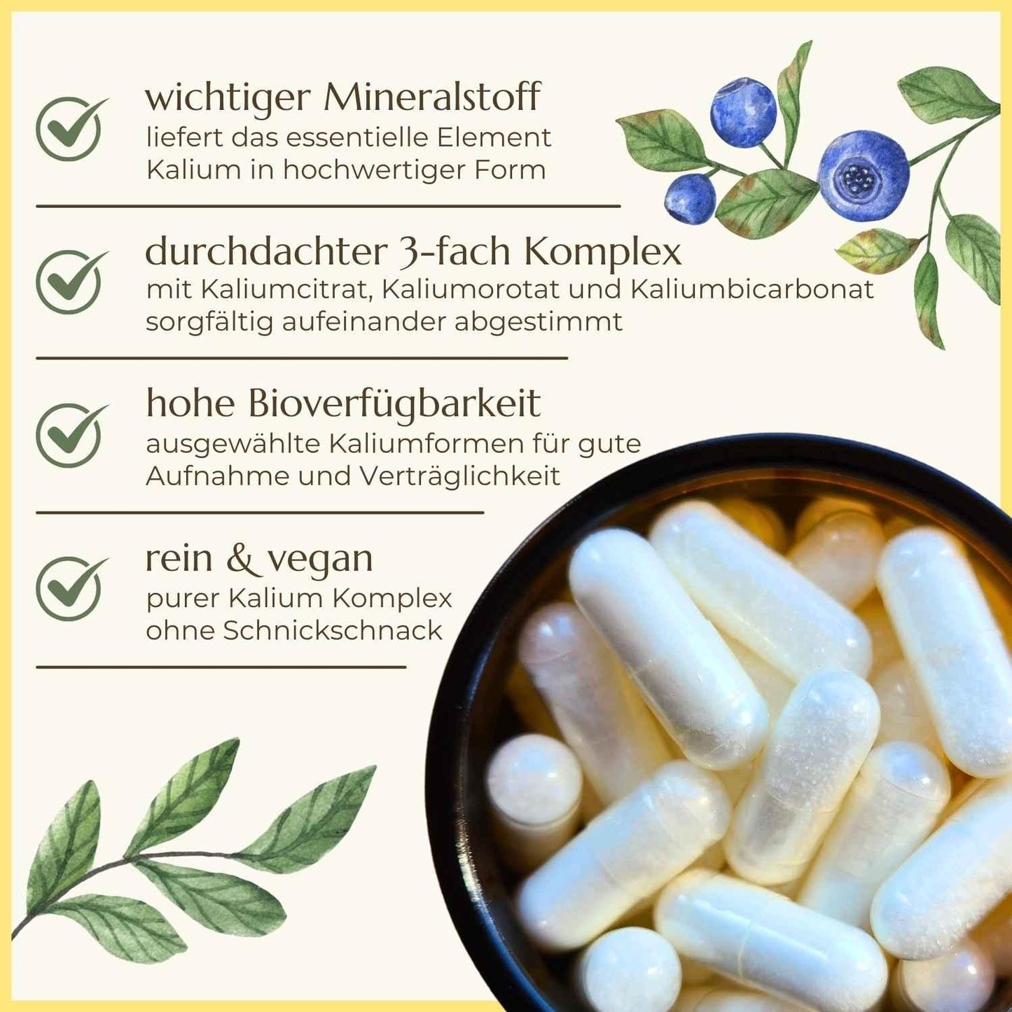 Eigenschaften der Kalium Kapseln aufgelistet | Naturstoff