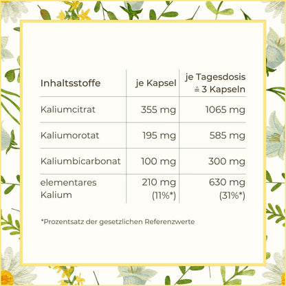 Inhaltsstoffe der Kalium Kapseln aufgelistet | Naturstoff