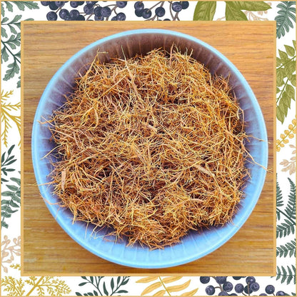 Katzenkralle Rinde getrocknet und geschnitten Präsentation | Naturstoff