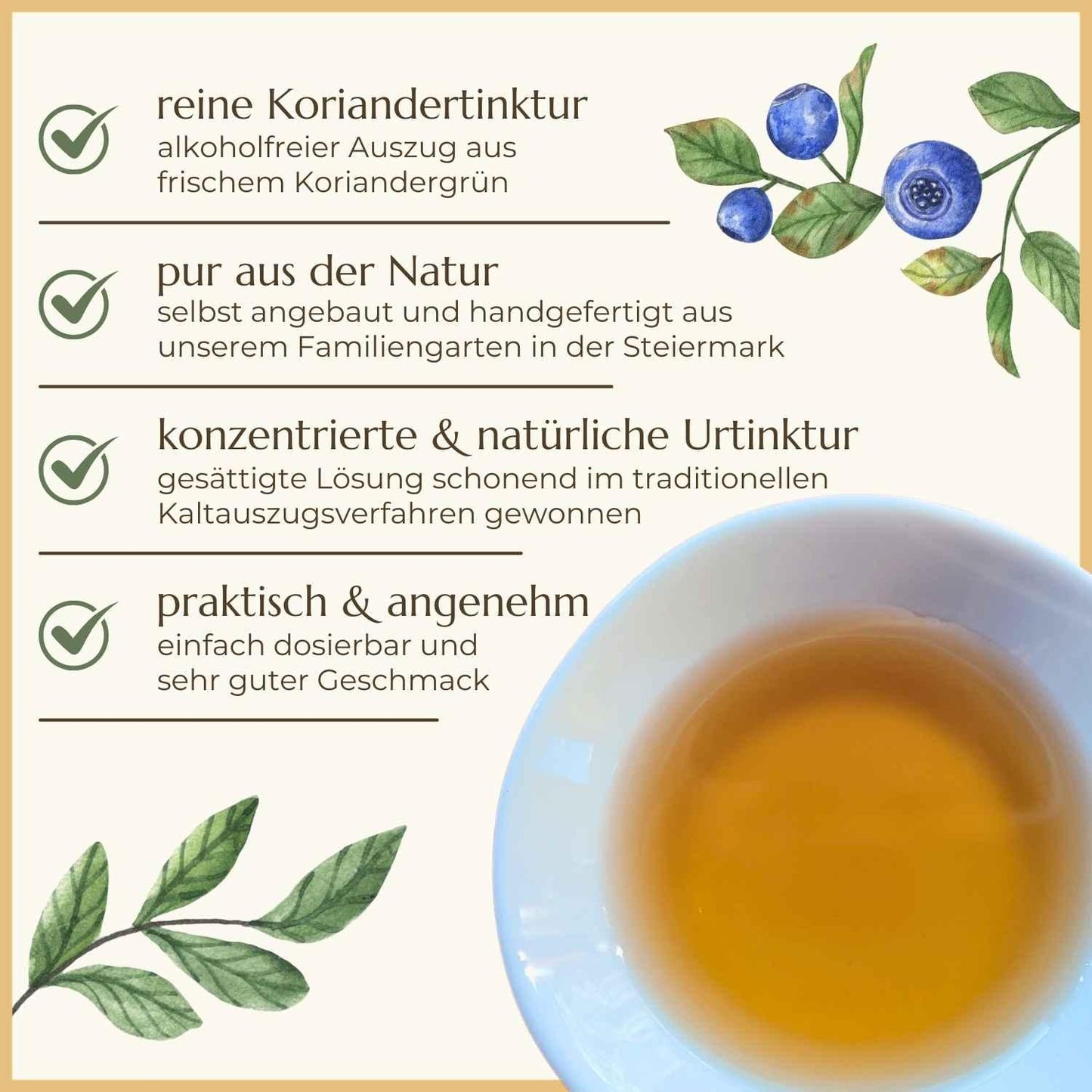 Eigenschaften der Koriander Tinktur | Naturstoff