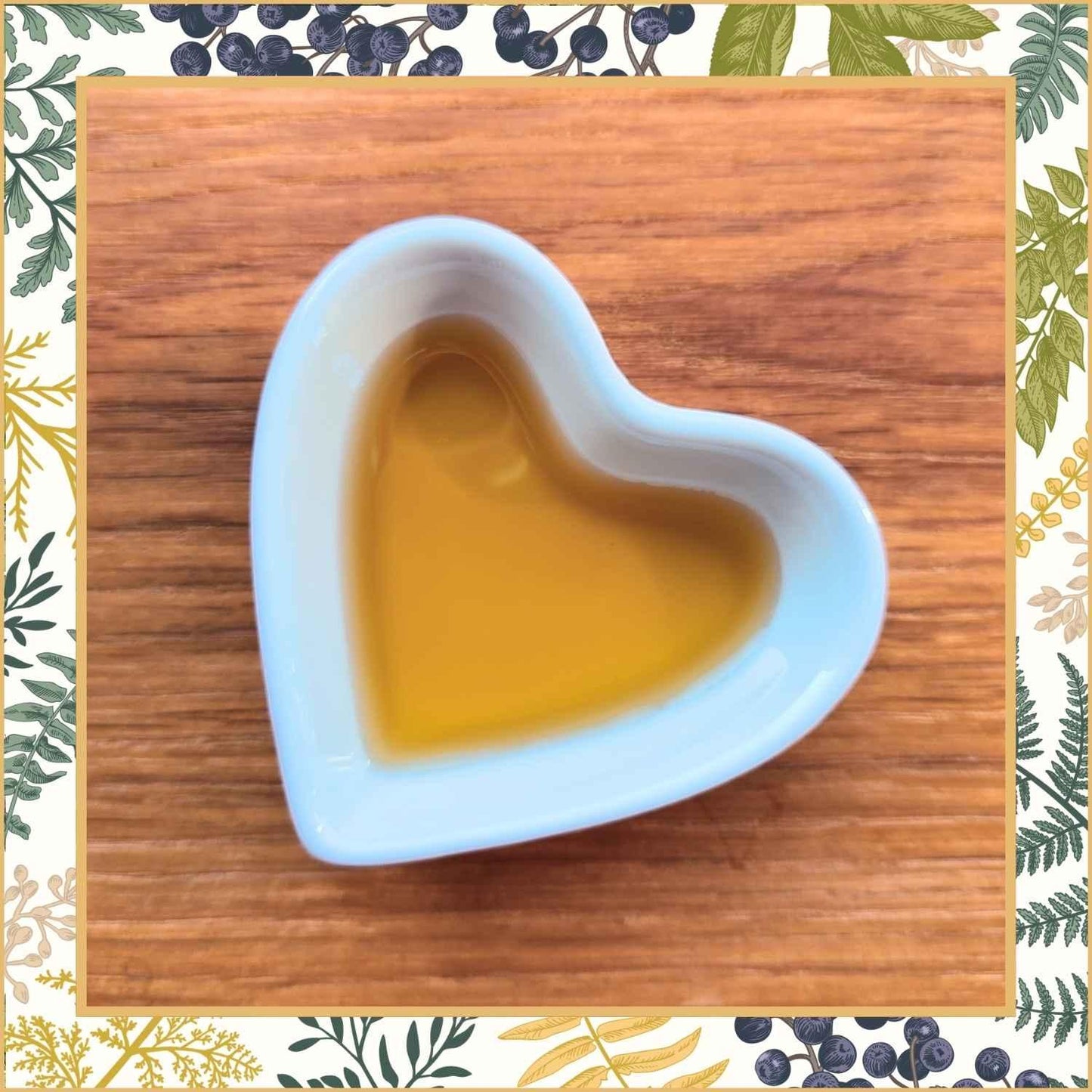 Koriander Auszug Präsentation Naturstoff