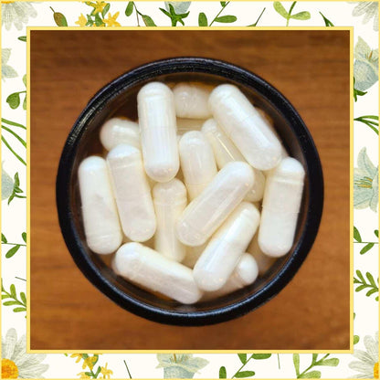 Magnesium Kapseln in Tiegel von Naturstoff