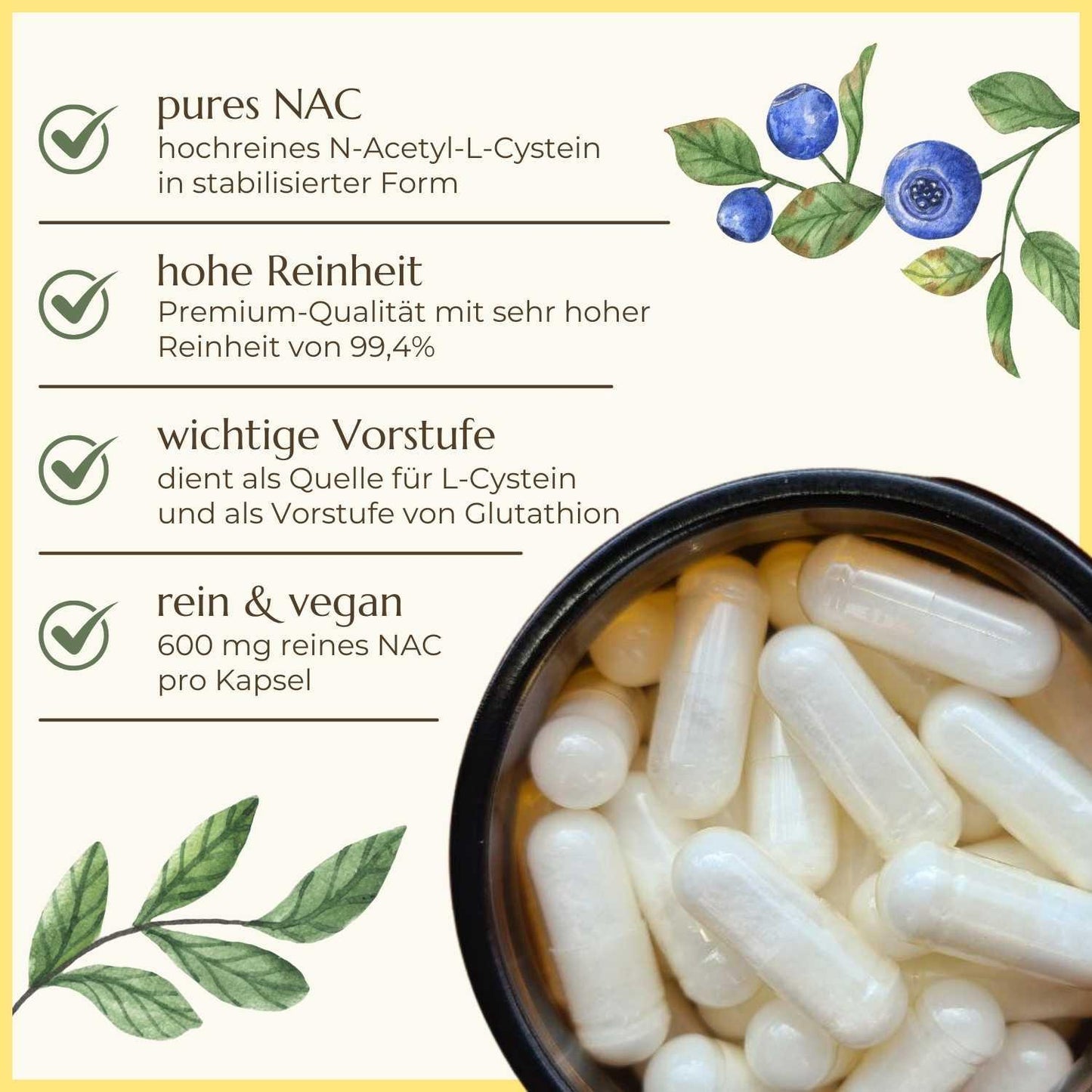 Eigenschaften der NAC Kapseln aufgelistet | NAC