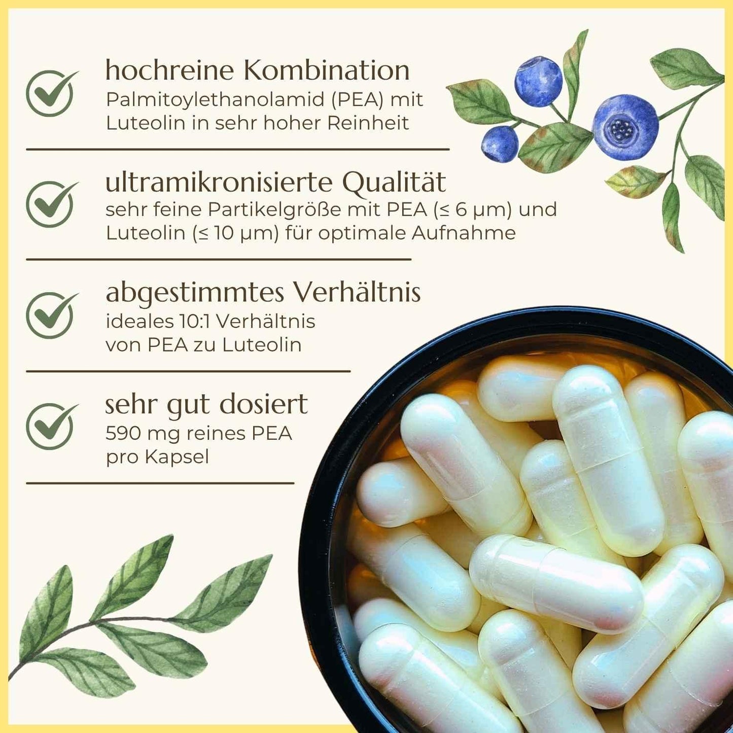 PEA Luteolin Premiumqualität & Eigenschaften | Naturstoff