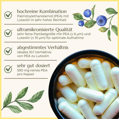 PEA Luteolin Premiumqualität & Eigenschaften | Naturstoff