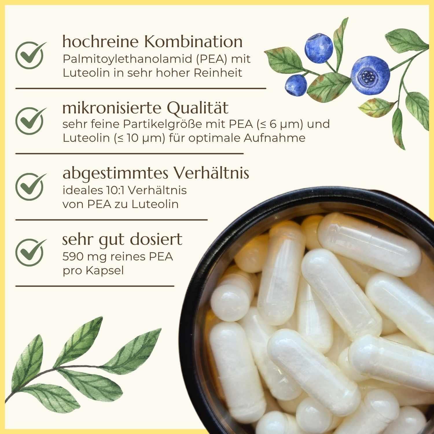PEA Plus Eigenschaften Premiumqualität Naturstoff