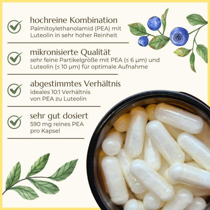 PEA Plus Eigenschaften Premiumqualität Naturstoff
