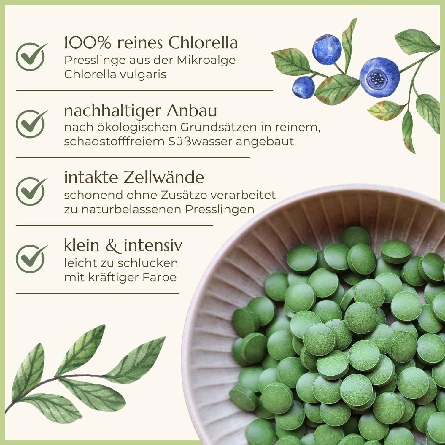 Premiumqualität & Eigenschaften Chlorella | Naturstoff