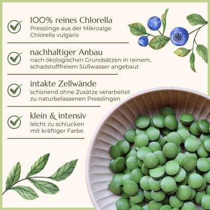 Premiumqualität & Eigenschaften Chlorella | Naturstoff