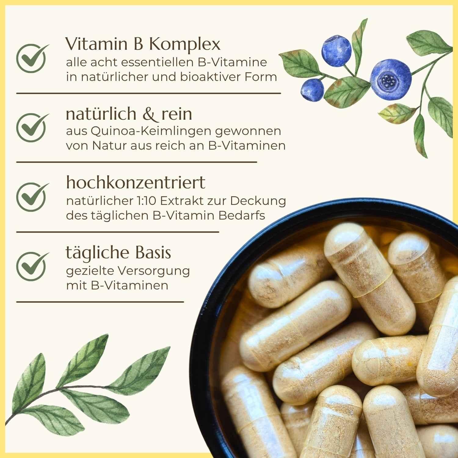 Premiumqualität & Eigenschaften Vitamin B Komplex | Naturstoff