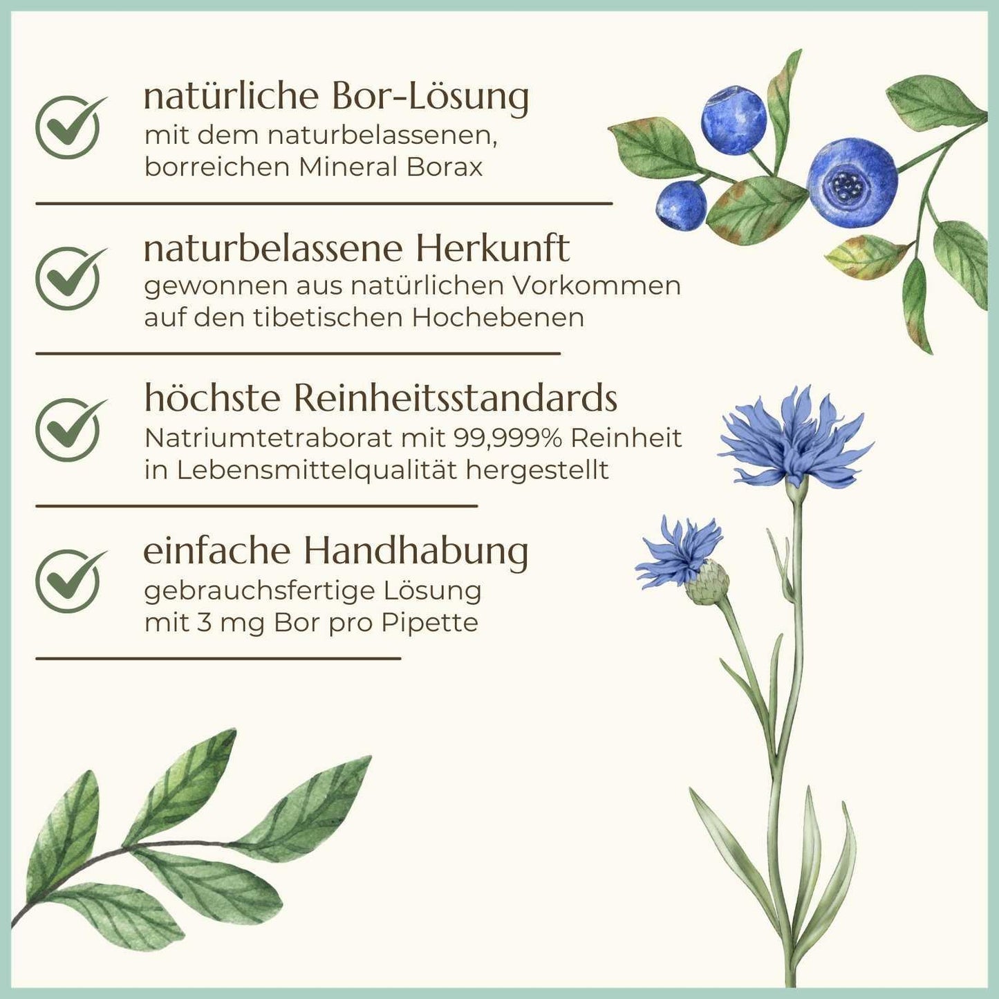 Premiumqualität & Eigenschaften der Borax Lösung | Naturstoff