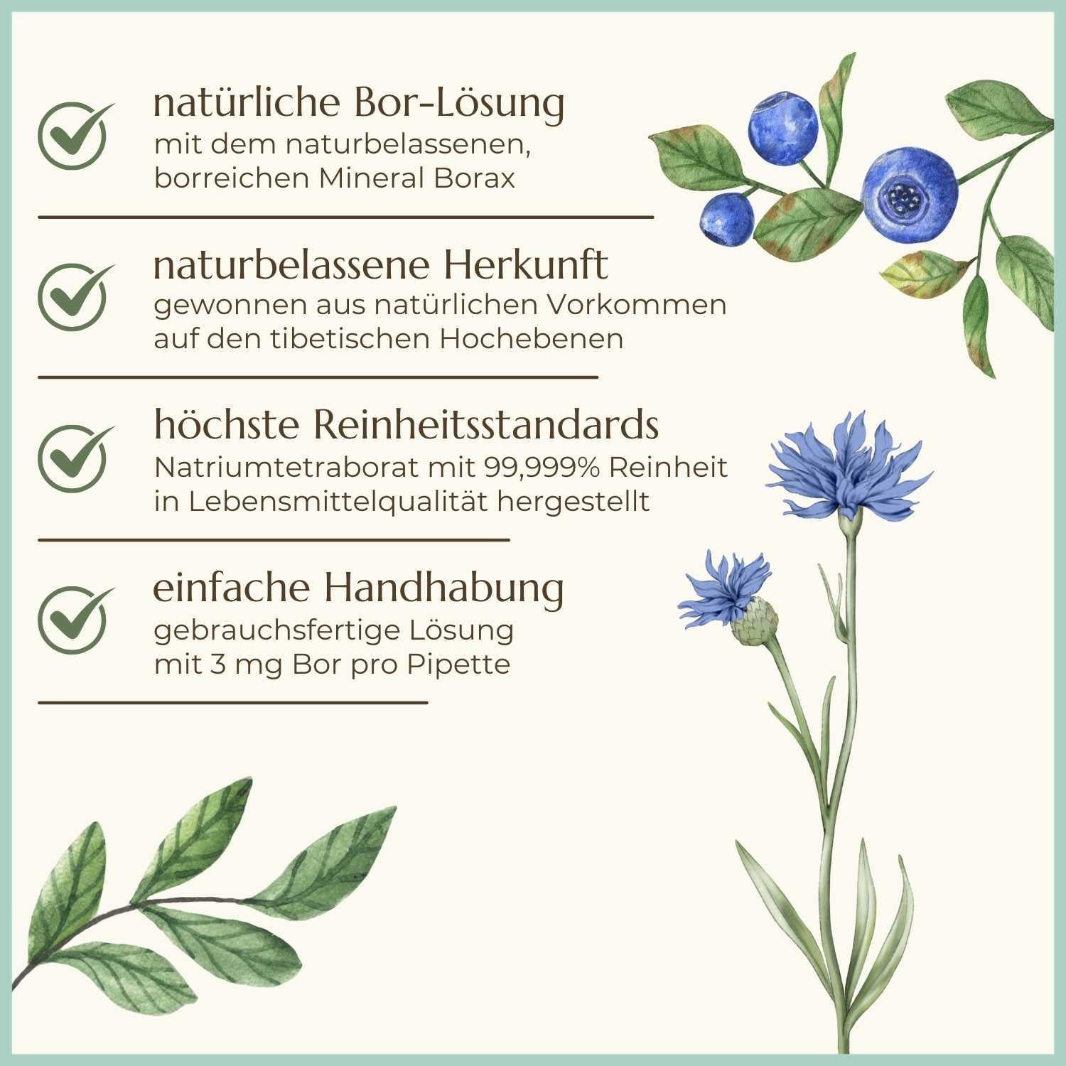 Premiumqualität & Eigenschaften der Borax Lösung | Naturstoff