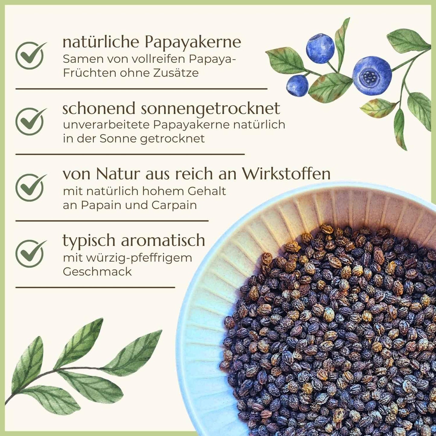 Premiumqualität & Eigenschaften der Papayakerne von Naturstoff