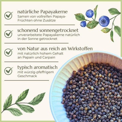 Premiumqualität & Eigenschaften der Papayakerne von Naturstoff