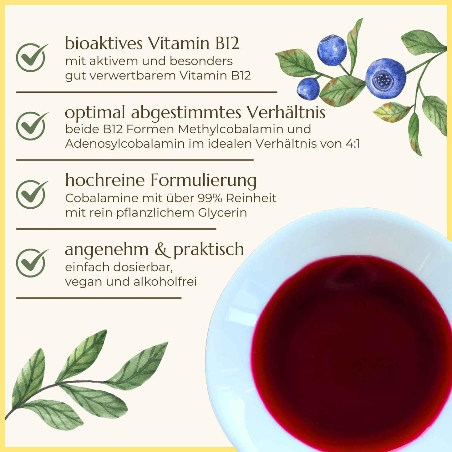 Premiumqualität & Eigenschaften der Vitamin B12 Tropfen von Naturstoff