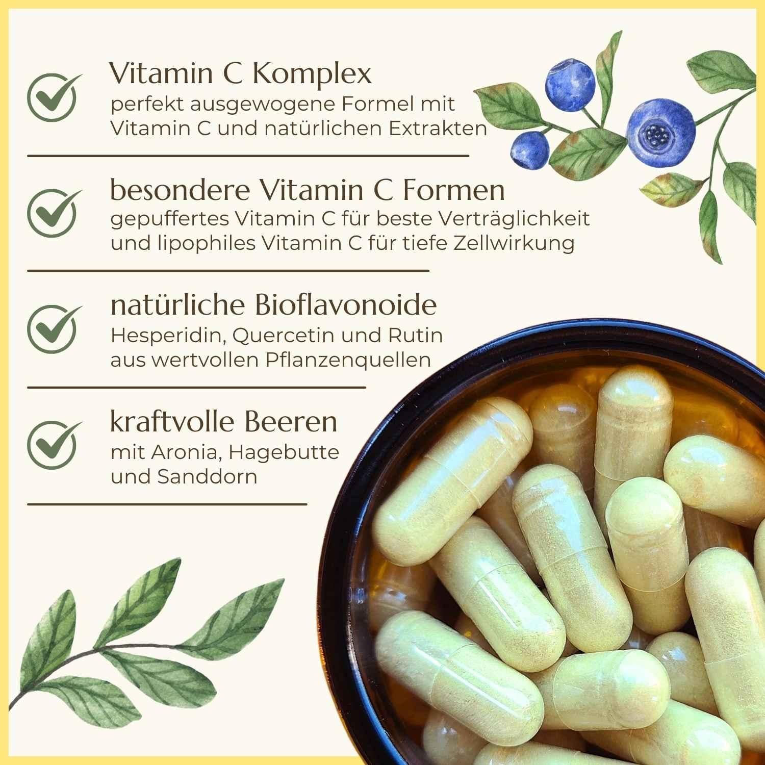 Premiumqualität & Eigenschaften vom Vitamin C Komplex | Naturstoff