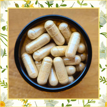 Quinoasprossen Kapseln Vitamin B Komplex | Naturstoff