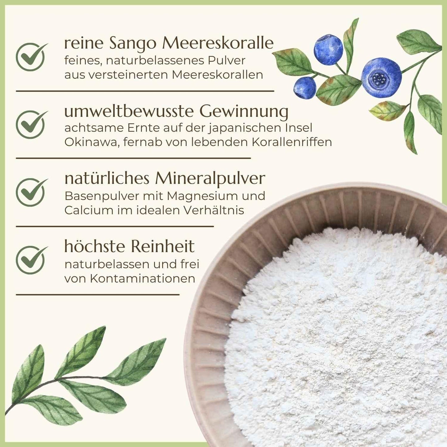 Sango Meereskoralle Beschreibung der Eigenschaften Naturstoff