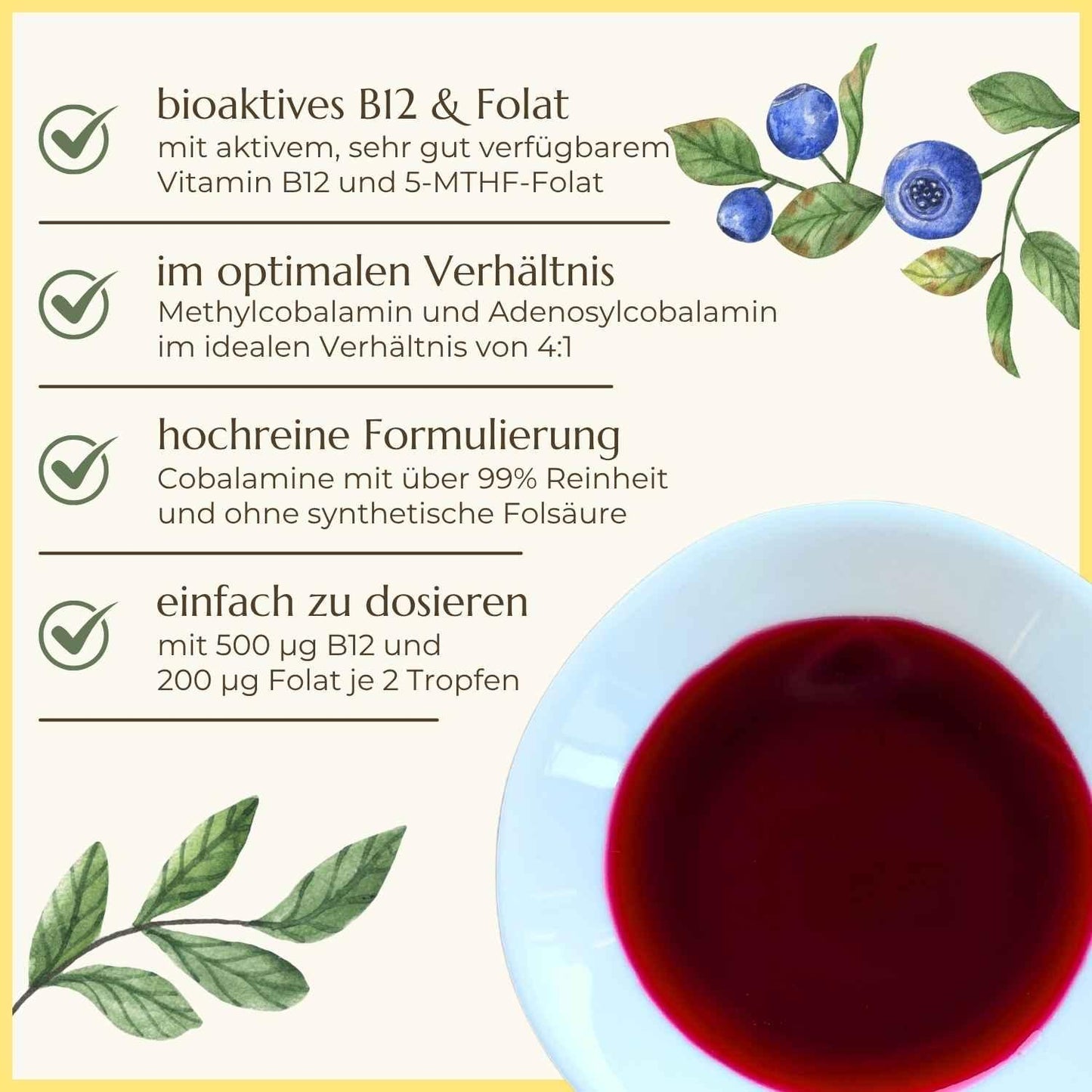 Vitamin B12 & Folsäure Premiumqualität & Eigenschaften | Naturstoff