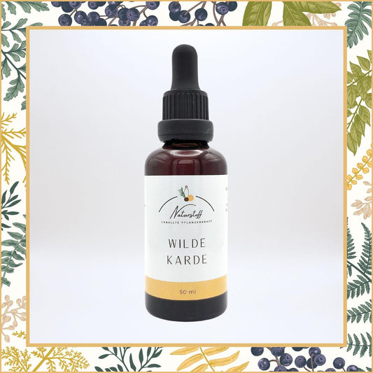 Wilde Karde Tinktur Auszug | Naturstoff